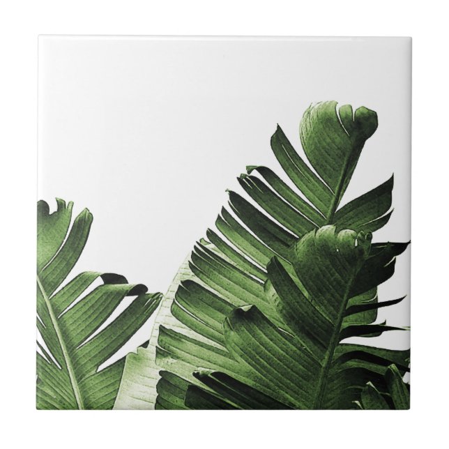 Carreau Feuille tropicale de banane (Devant)