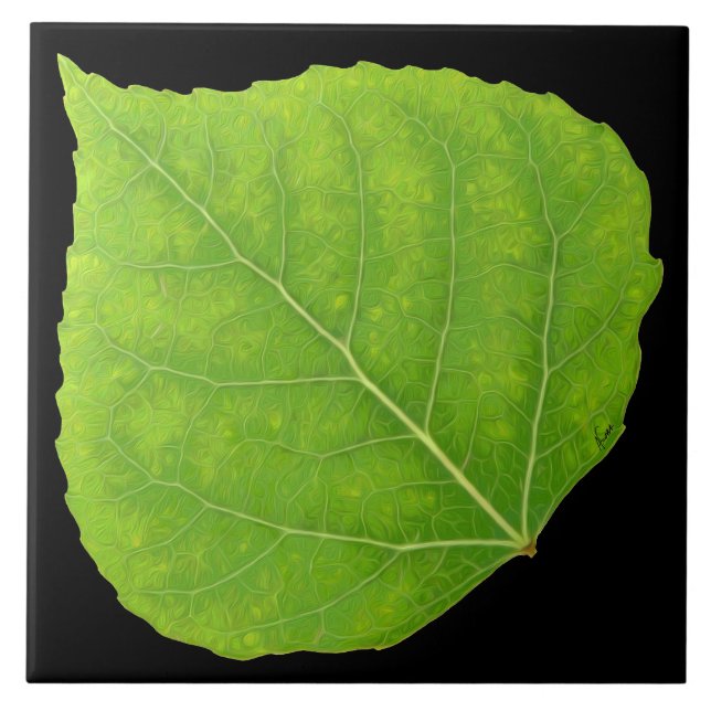 Carreau Feuille verte #11 d'Aspen (Devant)