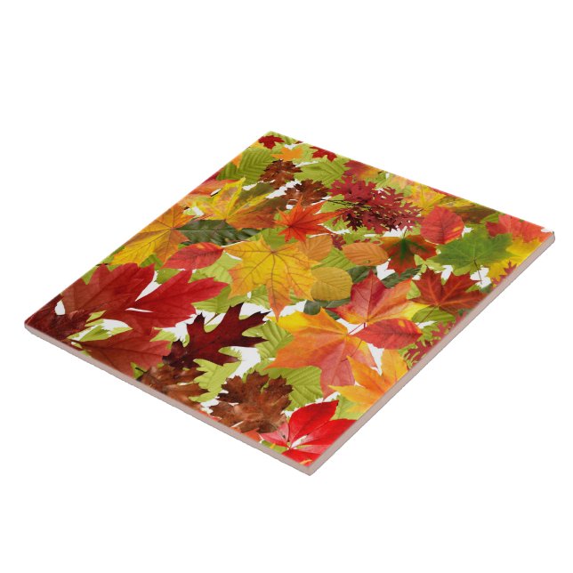 Carreau Feuilles automnales d'automne (Côté)