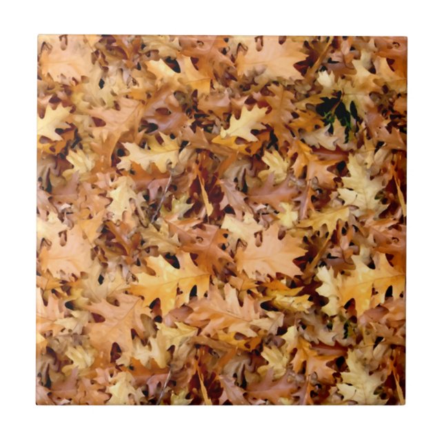 CARREAU FEUILLES D'AUTOMNE (Devant)