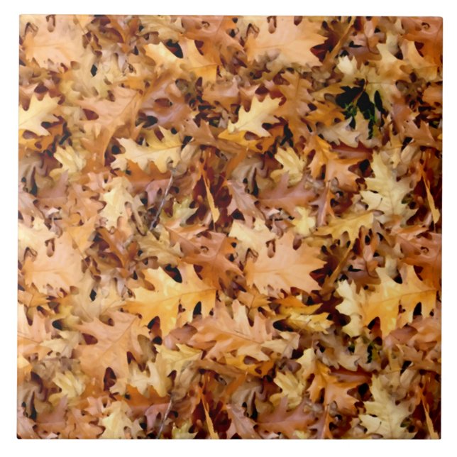CARREAU FEUILLES D'AUTOMNE (Devant)