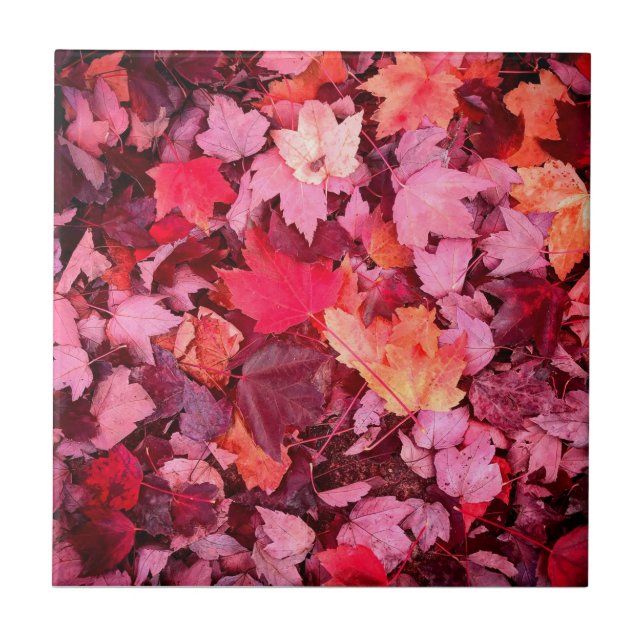 Carreau Feuilles d'automne colorées (Devant)