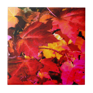 Carreau Feuilles d'automne rose abstrait rose rouge
