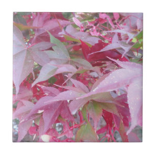 Carreau Feuilles De Chute Rose Et Sage