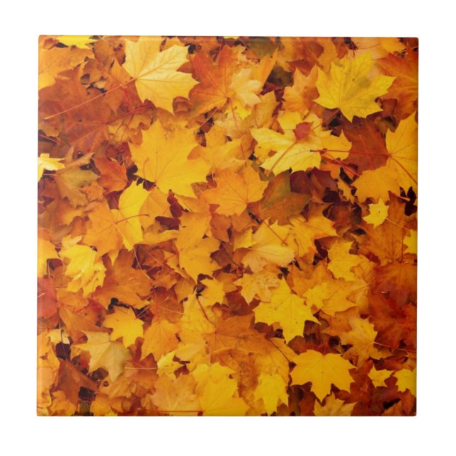 Carreau Feuilles d'érable jaune d'automne (Devant)