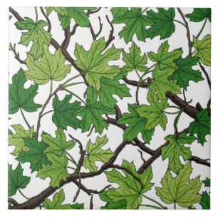 Carreau Feuilles d'érable sur fond blanc