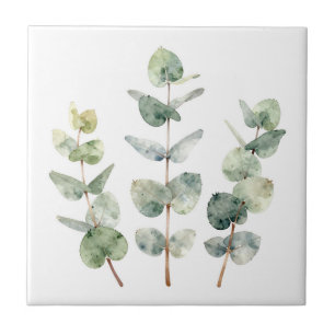 Carreau Feuilles d'eucalyptus botanique à l'aquarelle