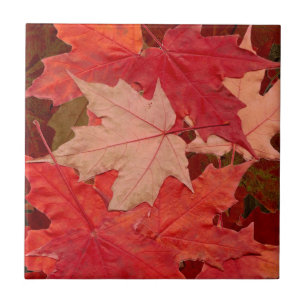 Carreau Feuilles Red Maple