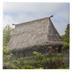 Carreau Fidji, île de Viti Levu. Culture polynésienne