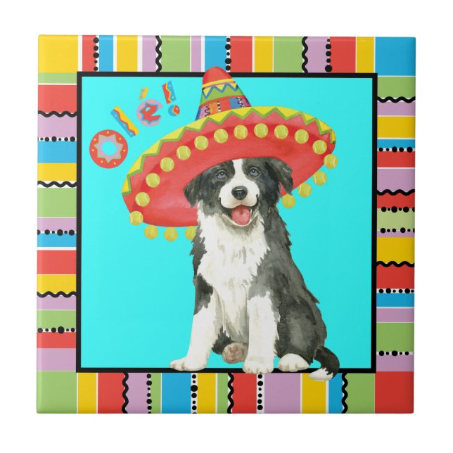 Carreau Fiesta Border Collie (Devant)