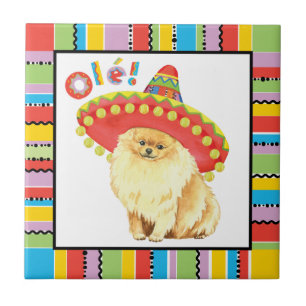 Carreau Fiesta Pomeranian