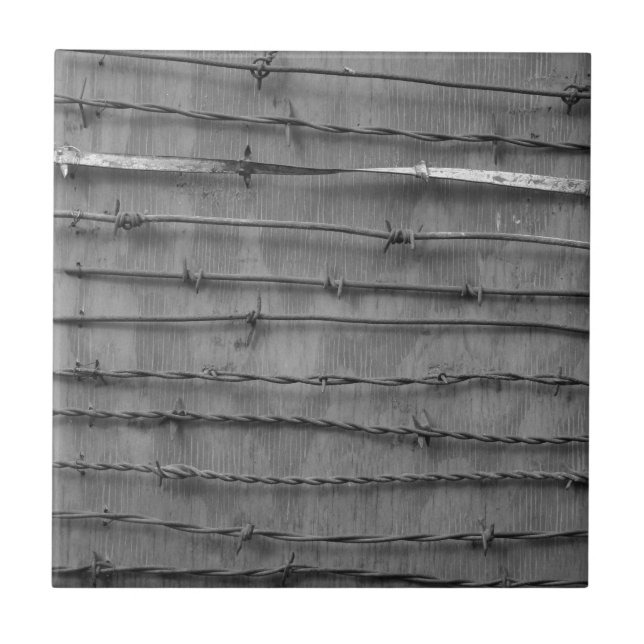 Carreau fil barbelé (Devant)