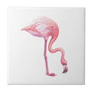 Carreau Flamant rose