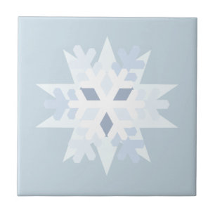 Carreau Flèche de neige en hiver