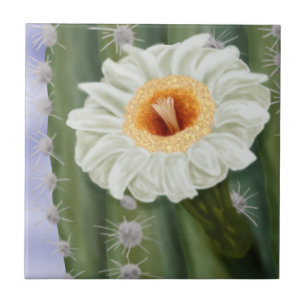 Carreau Fleur blanche Saguaro Cactus illustrée