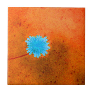 Carreau Fleur Bleue Clair Solitaire