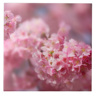 Carreau Fleur de cerisier Japon rose floral assez unique C