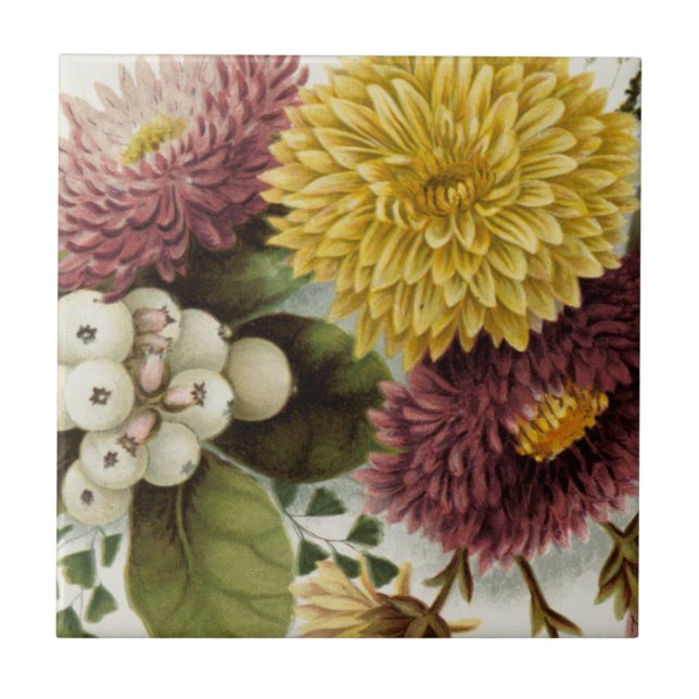 Carreau Fleur de chrysanthème mère florale (Devant)