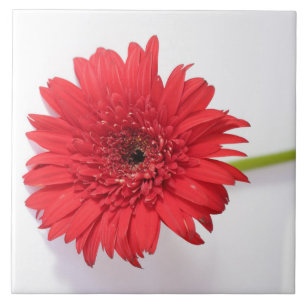 Carreau Fleur de Chrysanthème rouge orange