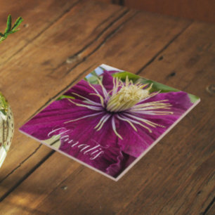 Carreau Fleur de Clématite Pourpre en Fleurs
