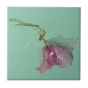 Carreau Fleur de Hellebore sur la turquoise verte en bon