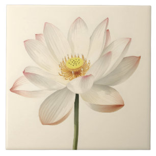 Carreau Fleur de lotus blanc