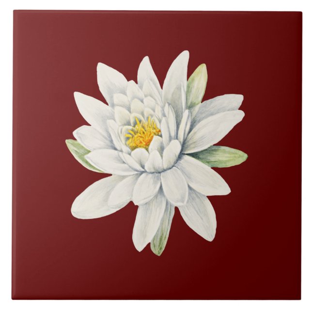 Carreau Fleur de nénuphar blanc (Devant)