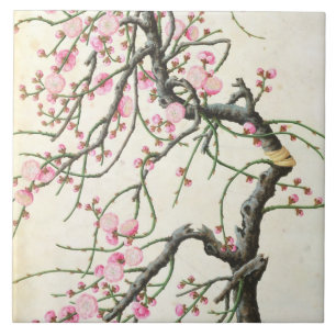 Carreau Fleur de pêche (couleur sur le papier)