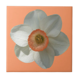 Carreau Fleur de printemps de jonquille rose