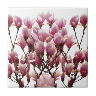 Carreau Fleur de printemps rose florissante Magnolias