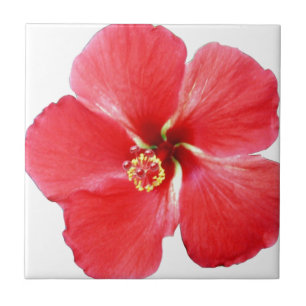 Carreau Fleur d'hibiscus de l'Hawaï rouge