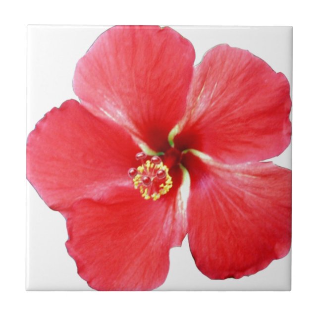 Carreau Fleur d'hibiscus de l'Hawaï rouge (Devant)