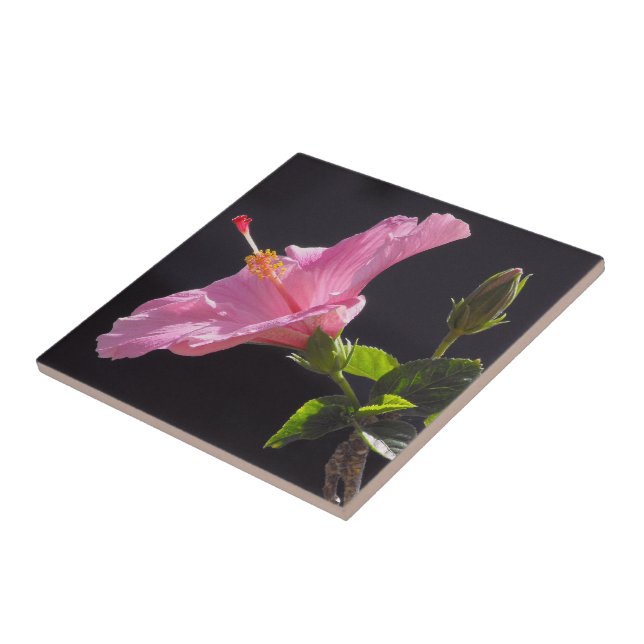 Carreau Fleur d'Hibiscus de Profil (Côté)