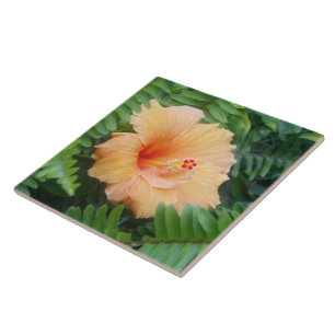 Carreau Fleur d'Hibiscus orange avec des fougères