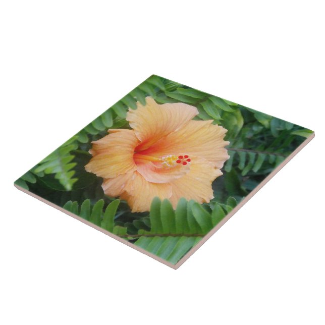 Carreau Fleur d'Hibiscus orange avec des fougères (Côté)