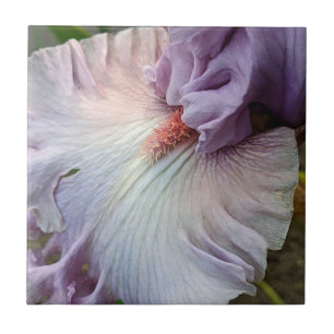 Carreau Fleur d'Iris Pale Violet