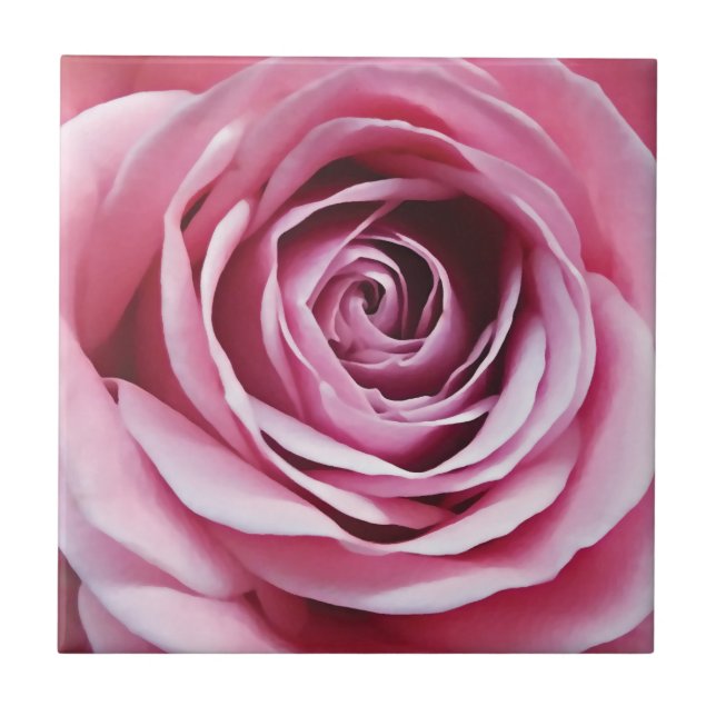 Carreau Fleur rose, aquarelle détail du bourgeon rose (Devant)