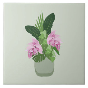 Carreau Fleur rose de Medinilla tropicale dans un vase ver