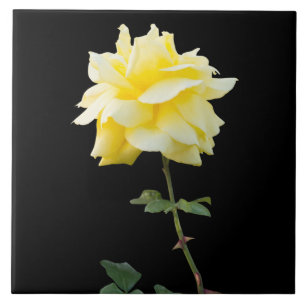 Carreau Fleur rose jaune
