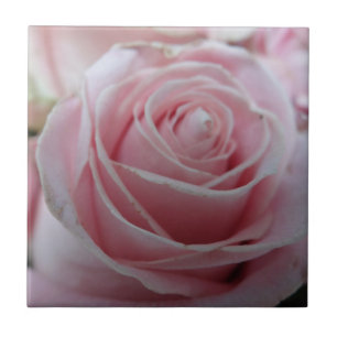 Carreau Fleur Rose mignonne