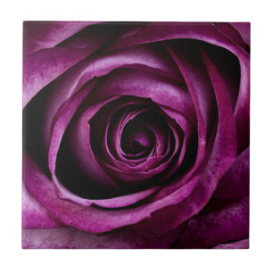 Carreau Fleur Rose violet