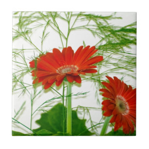 Carreau Fleur Rouge