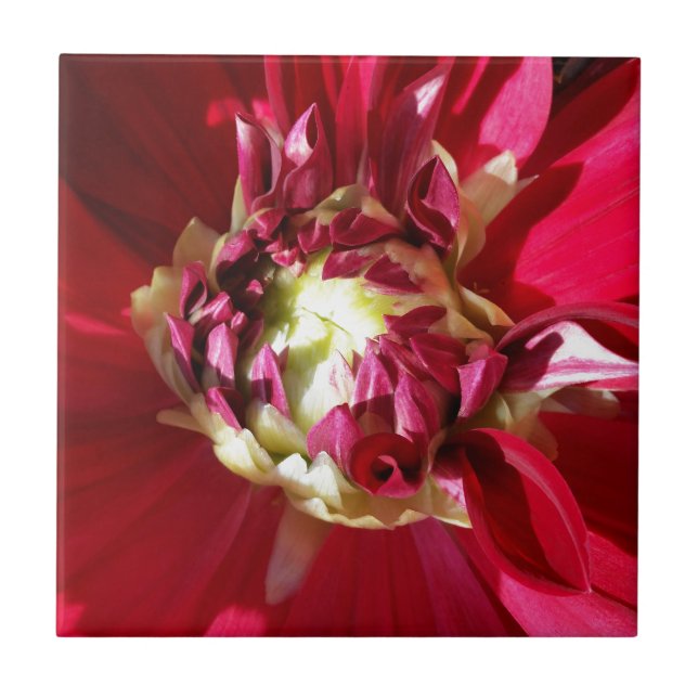 Carreau fleur rouge profonde (Devant)