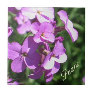 Carreau Fleur sauvage-Paix pourpre