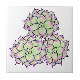 Carreau Fleur Succulente