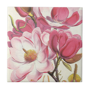 Carreau Fleur vintage de Magnolia Arbre, Fleurs Roses Du J