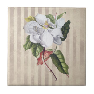 Carreau Fleur vintage de Magnolia sur bandes
