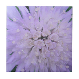 Carreau Fleur violette