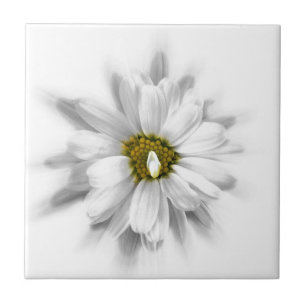 Carreau fleurit dans les tons blancs