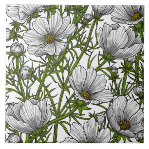 Carreau Fleurs cosmos blanches